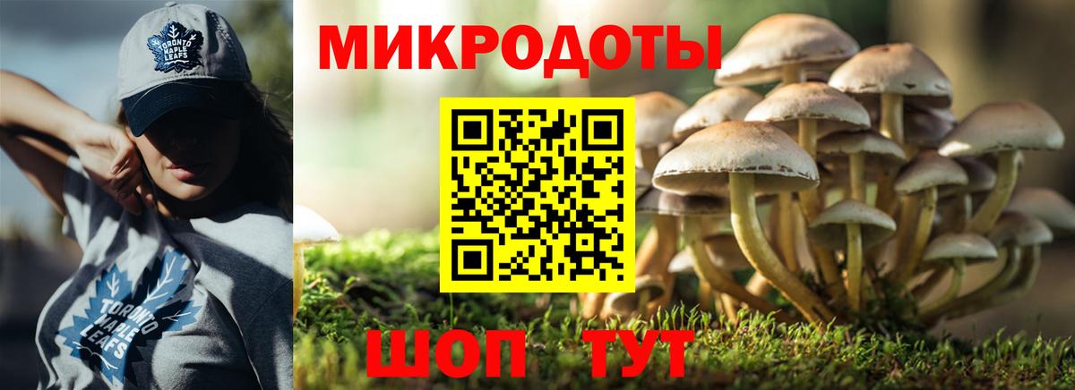 даркнет сайт  Псилоцибиновые грибы ЛСД  Псилоцибиновые грибы GOLDEN TEACHER  Вход с VPN  Магнитогорск 